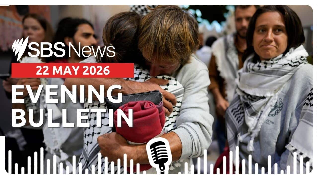 Afternoon news bulletin image 22 May 2026.jpg