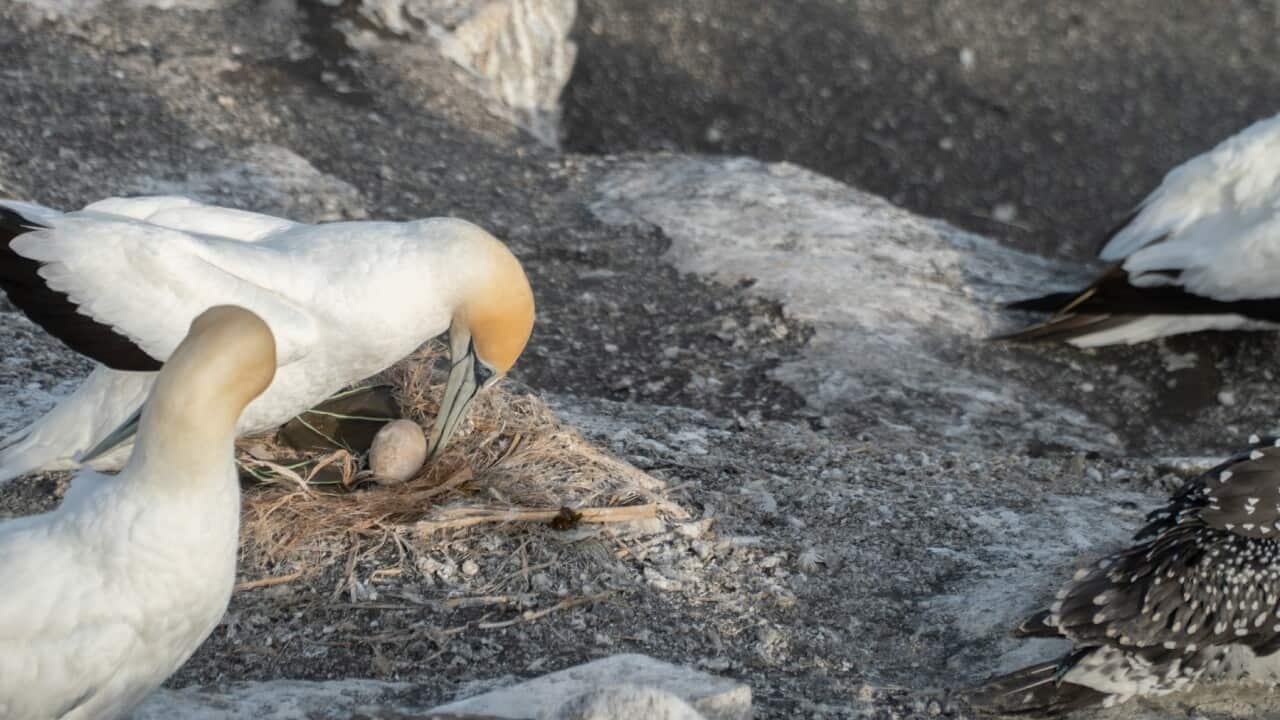 Getty Images/agcreations