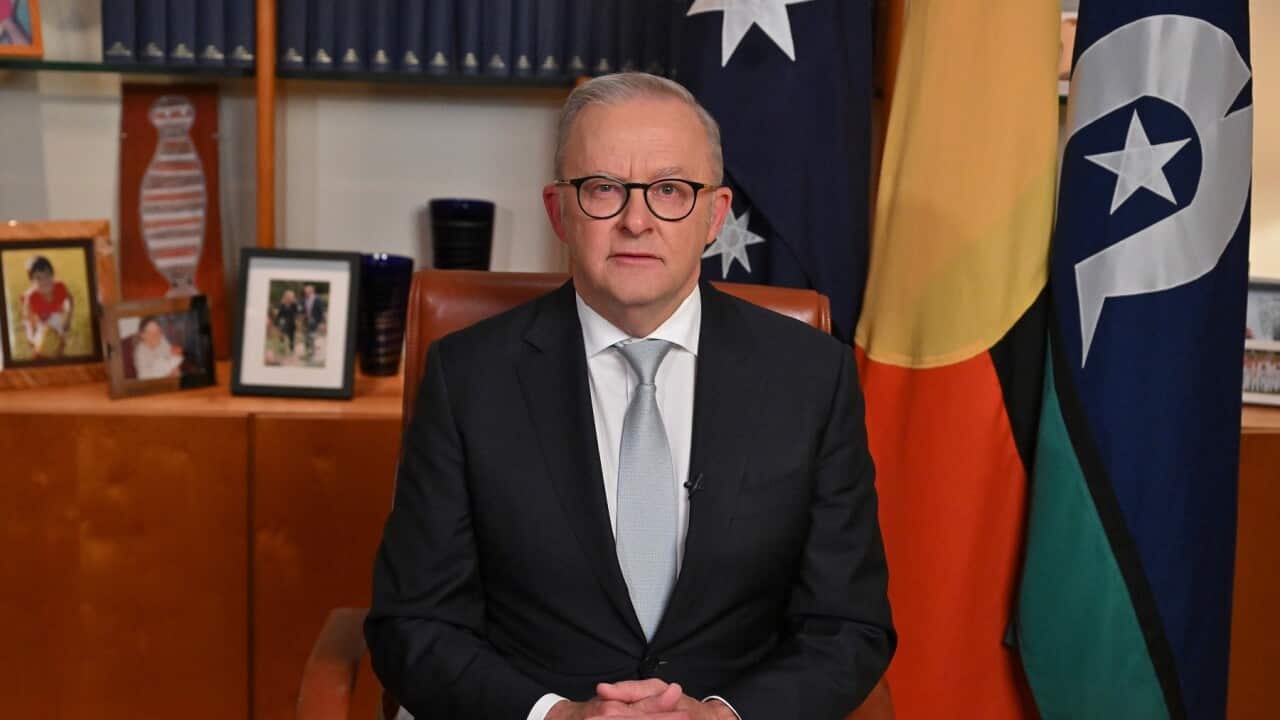 ANTHONY ALBANESE NATIONAL BROADCAST