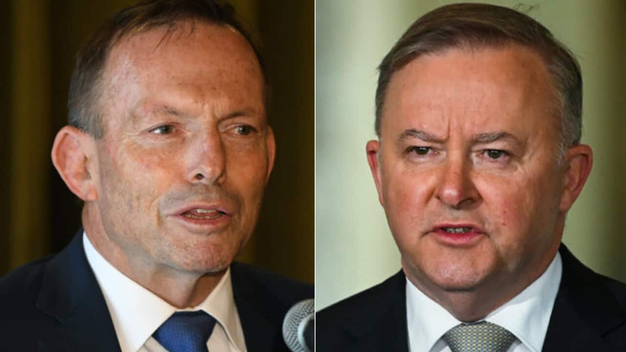 Former prime minister Tony Abbott (L) and Labor leader Anthony Albanese