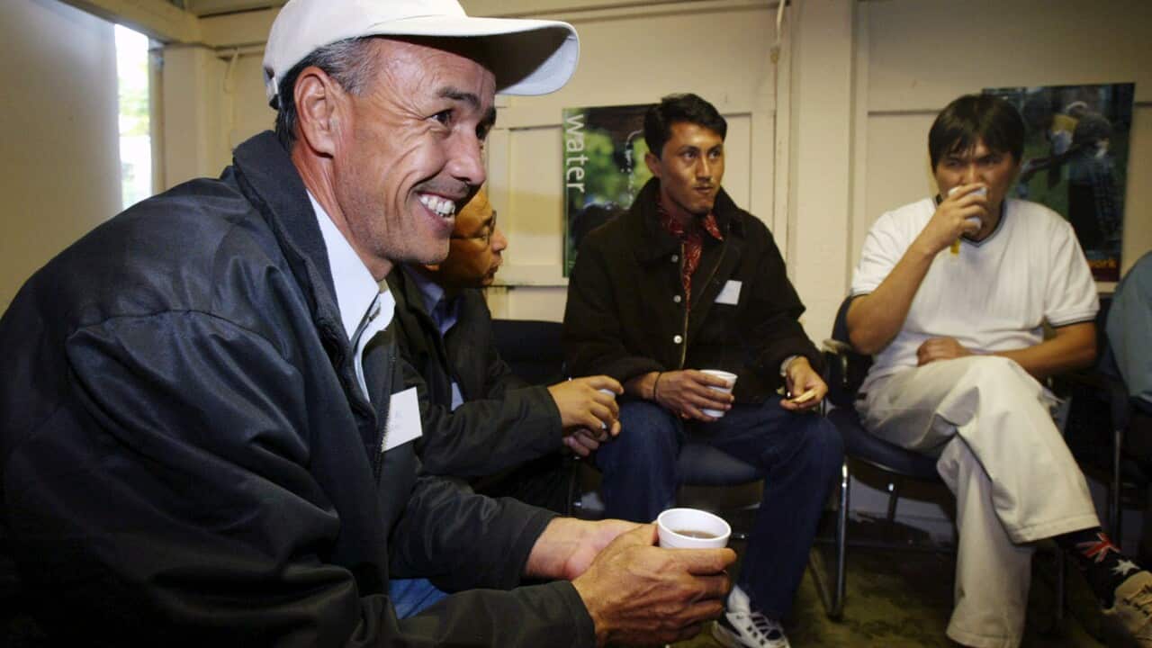 Afghan refugees holding drink cups in Brisbane