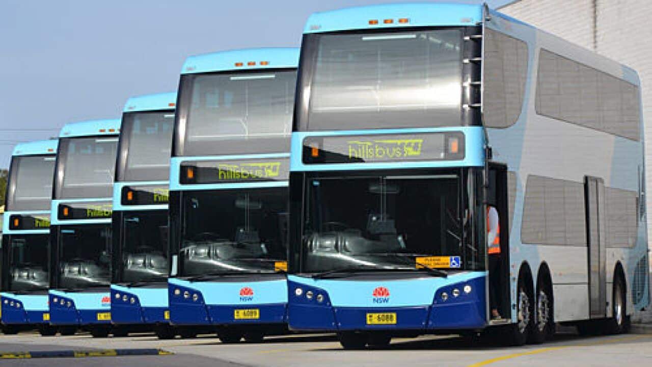 dd-buses-web_opt.jpg