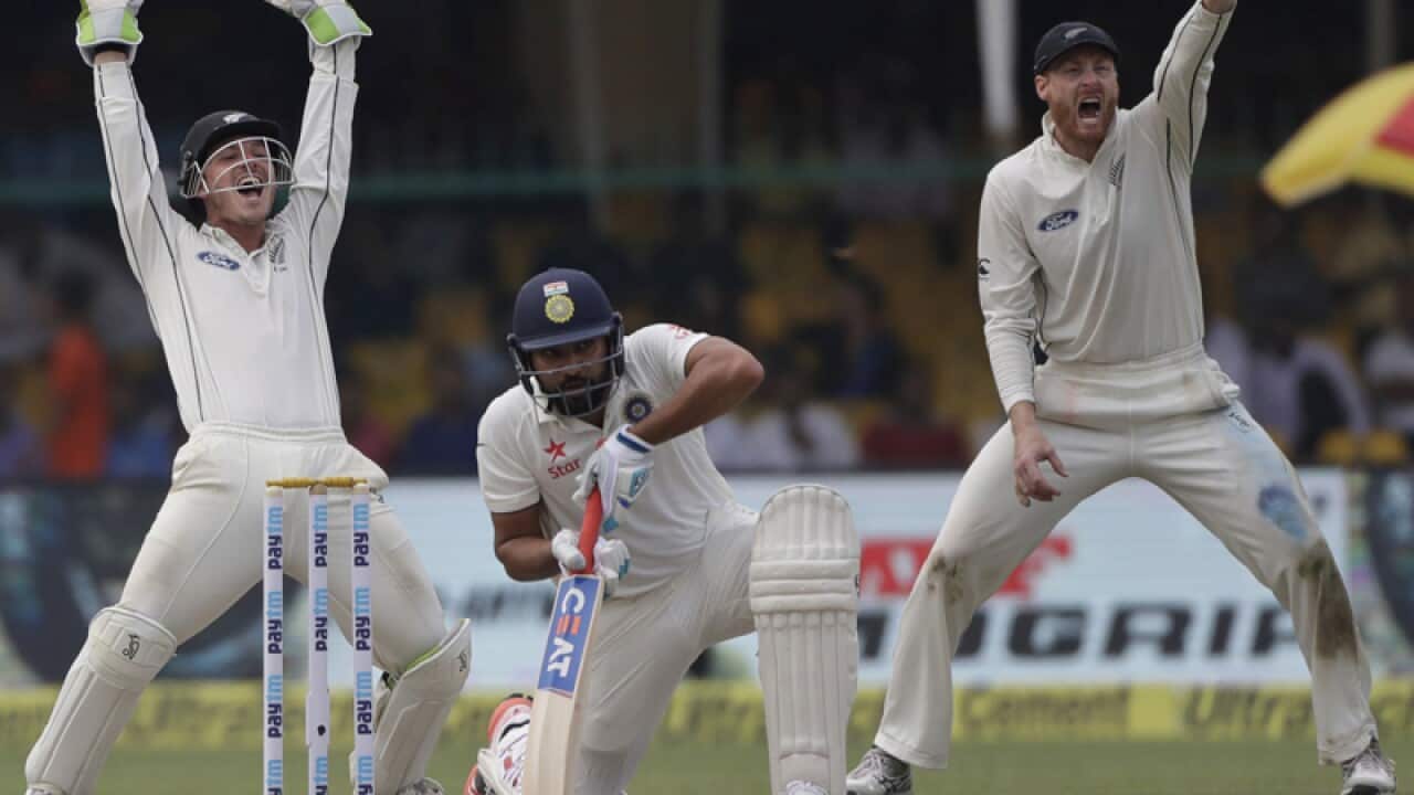 New Zealand's BJ Watling (L) and Martin Guptill appeal for a wicket