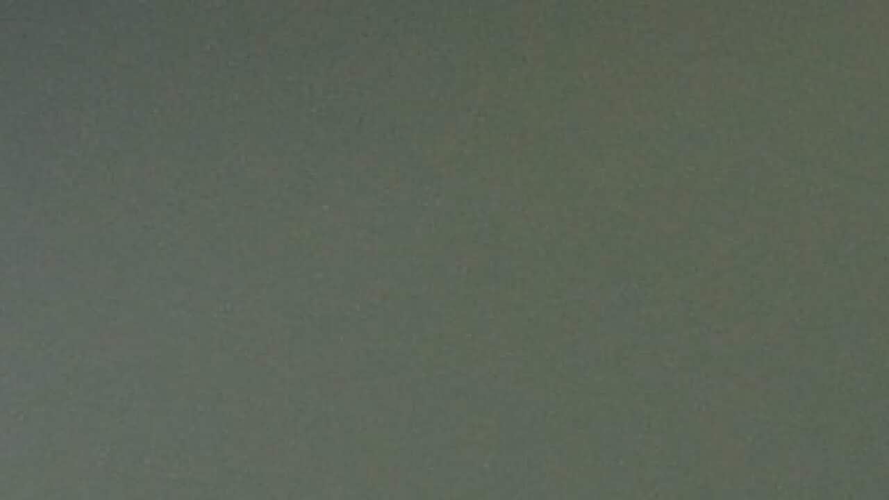 NSW Chief Health Officer Dr Kerry Chant addresses media during a COVID-19 update in Sydney uary.