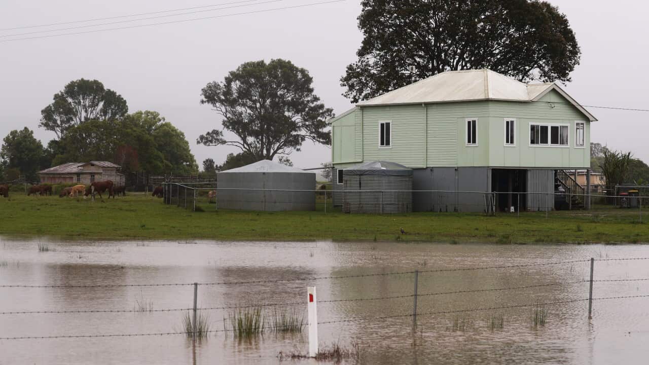 NSW FLOODS