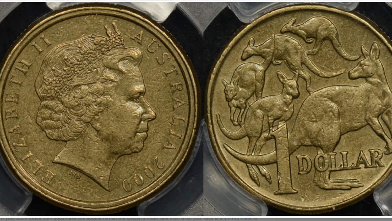 A mule Australian dollar could be worth thousands