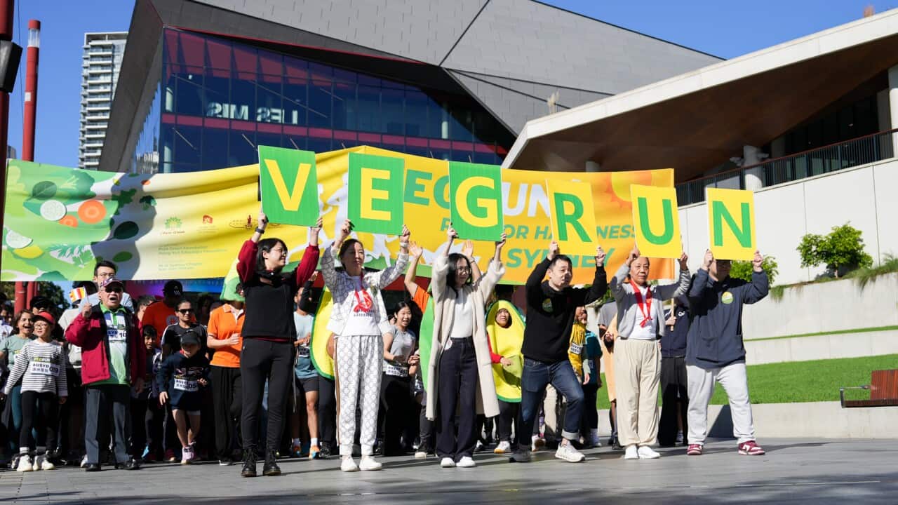 YXW03016 王一鑫 攝-Selected-Compressed.jpg