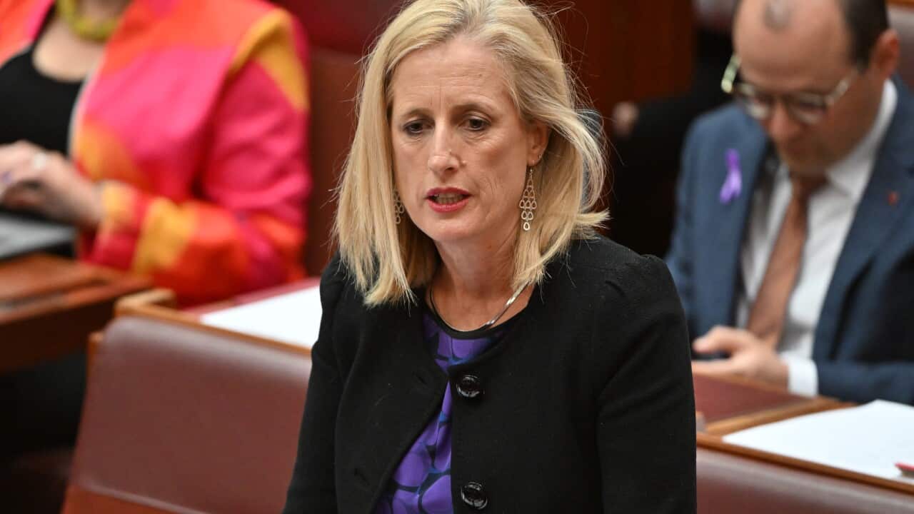 SENATE QUESTION TIME