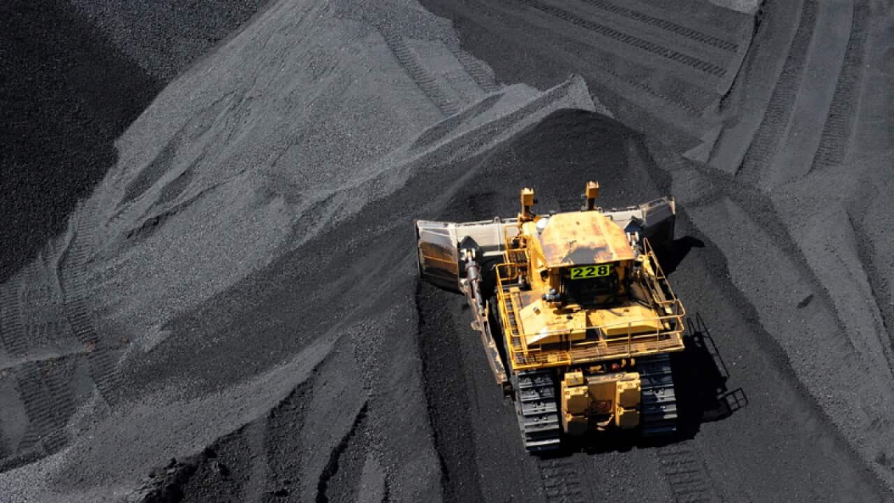 Coal is stockpiled before being loaded