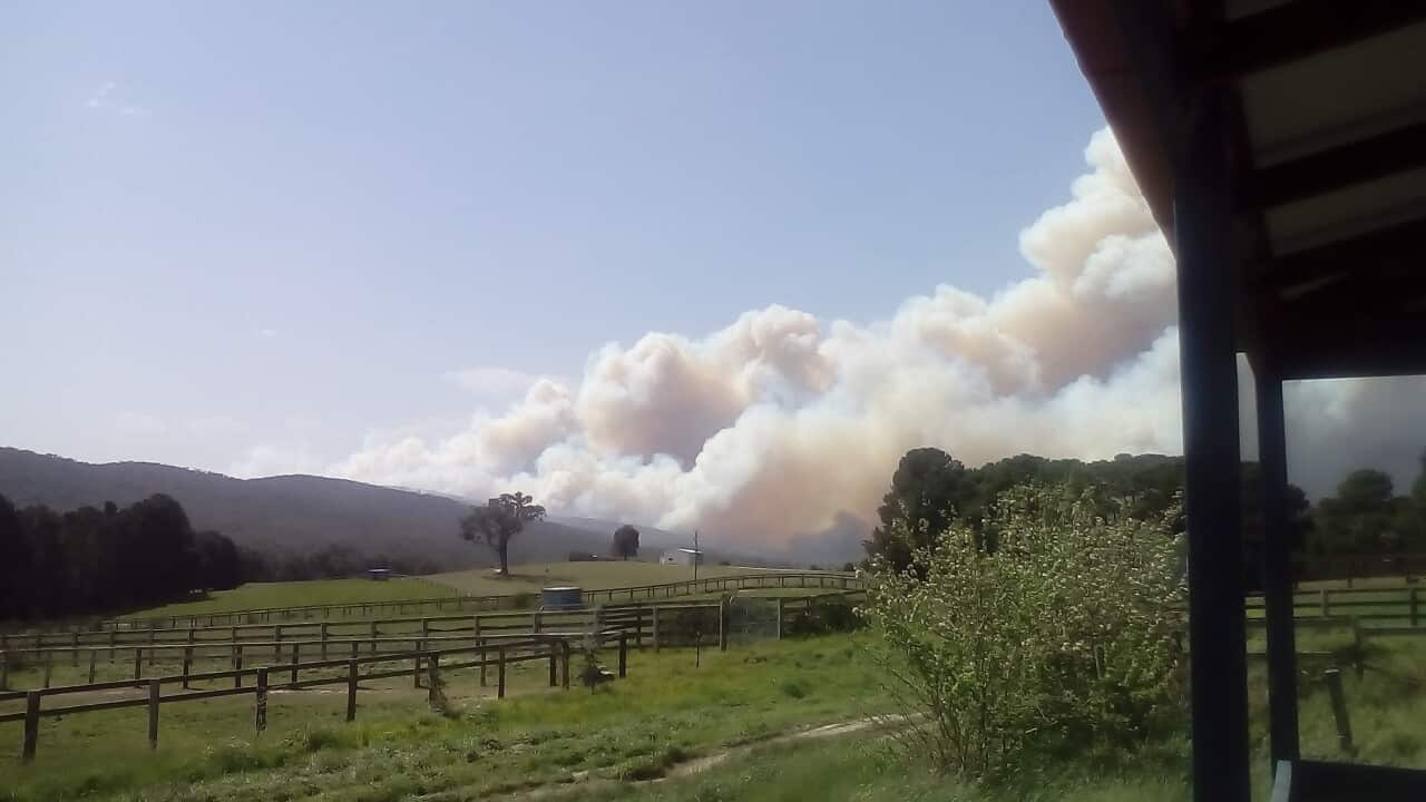 Emergency evacuations are underway as a massive bushfire in Lancefield, north of Melbourne burned out of control.