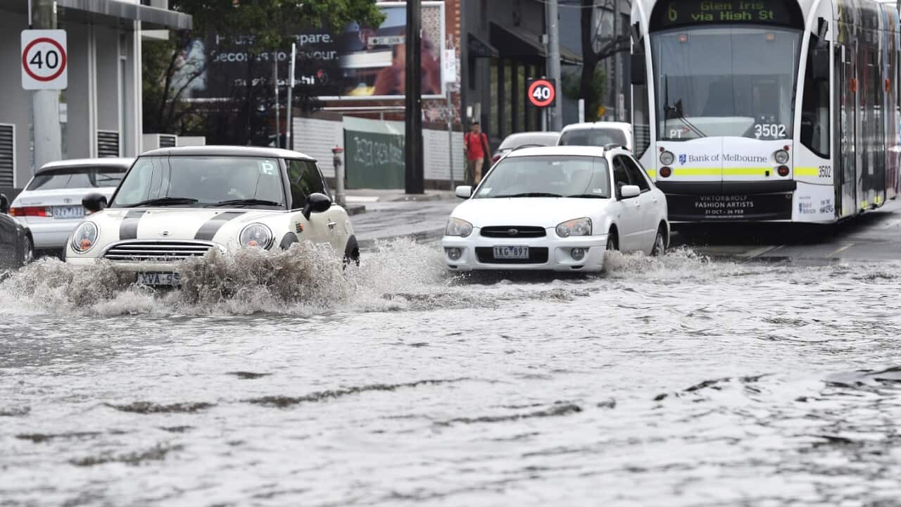 Cars and trams drive through floodwaters.