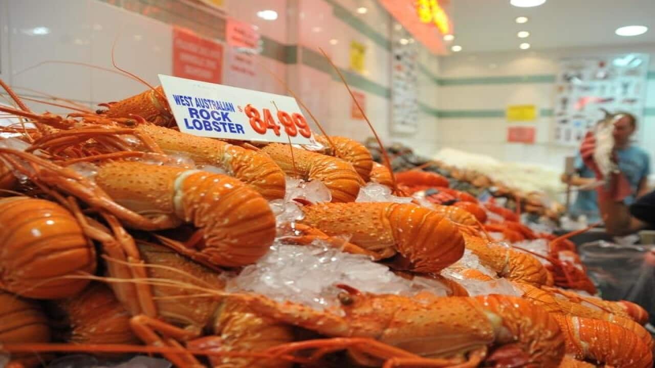 Lobsters may be the latest victims of escalating trade tensions between Australia and China.