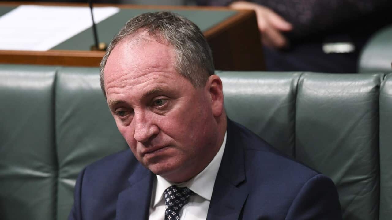 Federal Labor says it still has questions about how the government handled the transfer of Barnaby Joyce's former staffer after his affair.