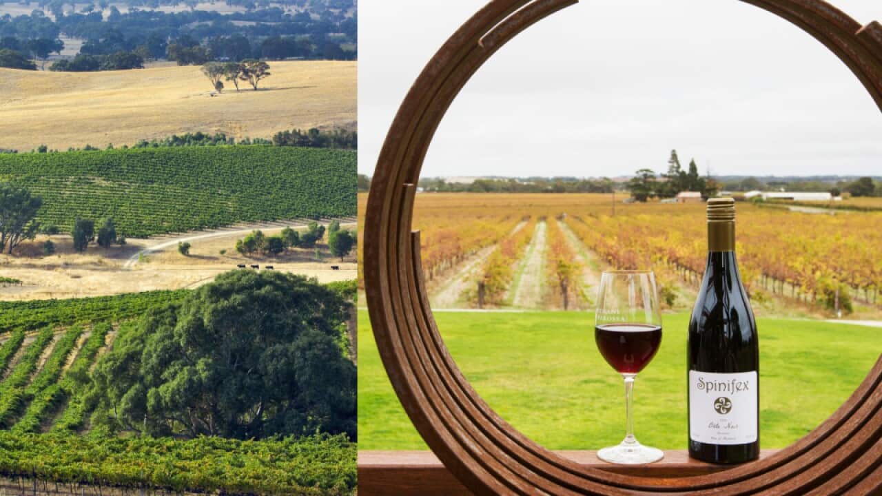 Barossa Valley.jpg