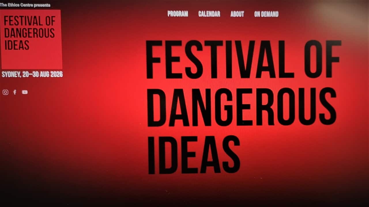 Festival edit.jpg