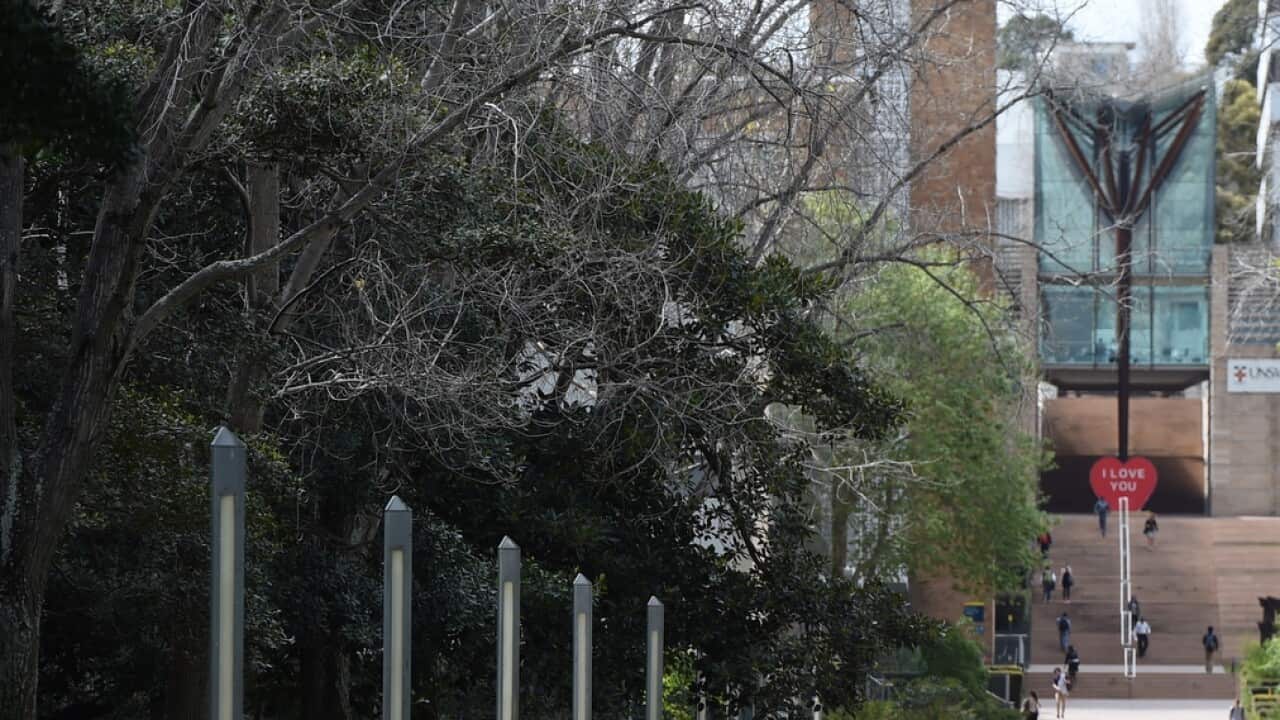Students at the University of New South Wales