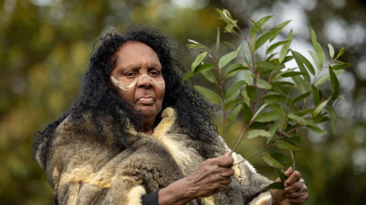 Stolen Generations survivor Rita Wright depicts her journey at a commemorative event in Sydney