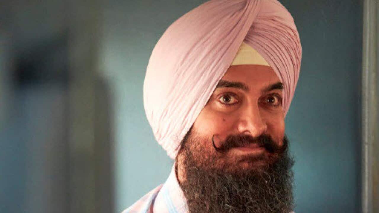 Image for read more article 'More from SBS Punjabi'