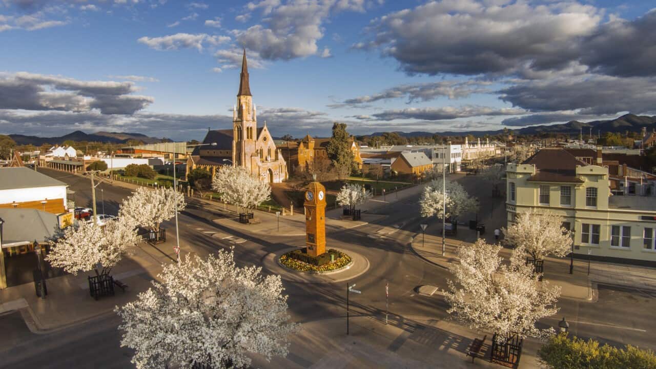 A panoramic view of Mudgee, NSW, including a main street, a tower clock, a church and other buildings.