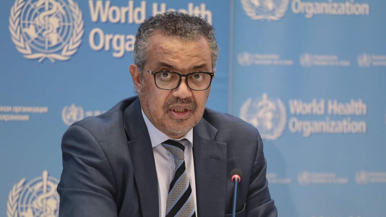 SBS News in Macedonian 7 January 2022,