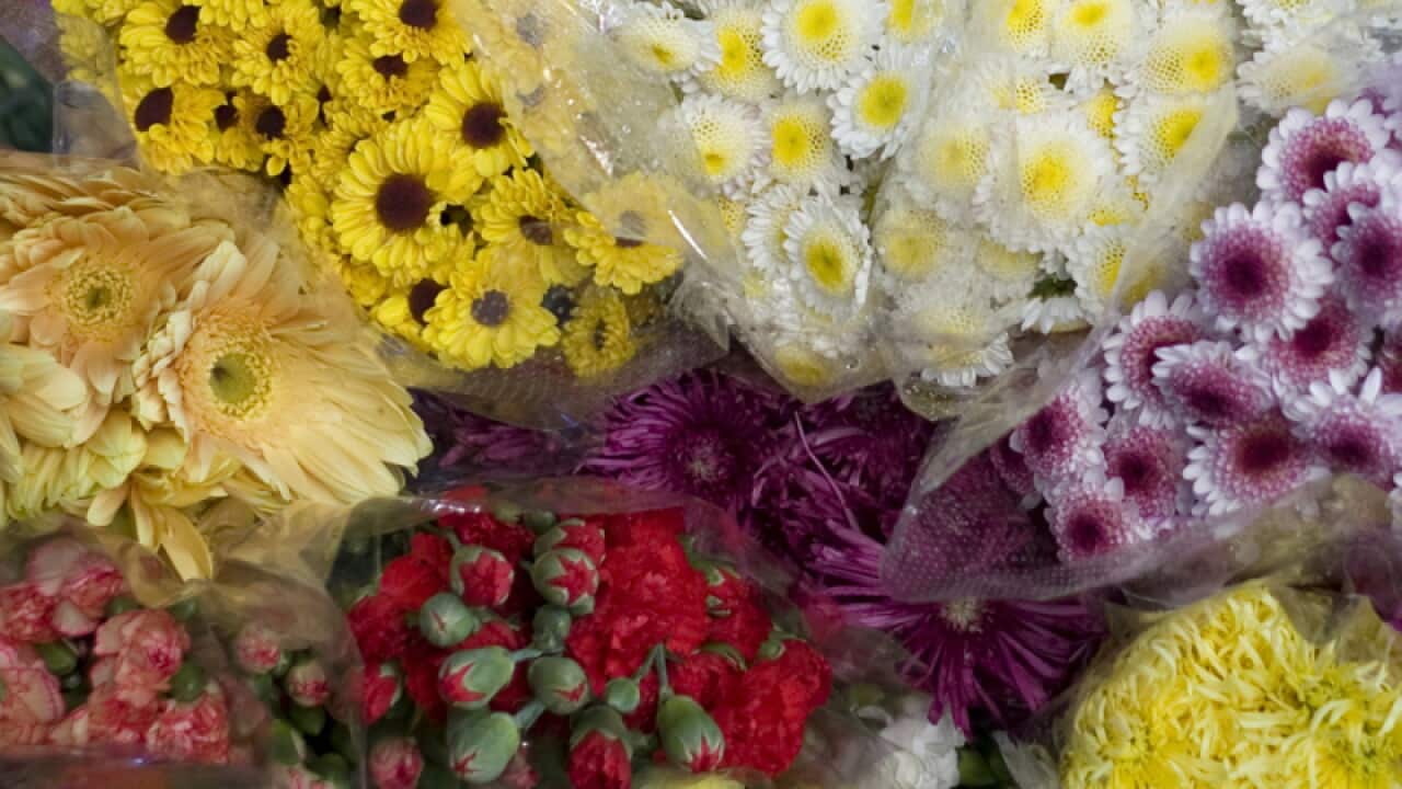 Several bunches of flowers