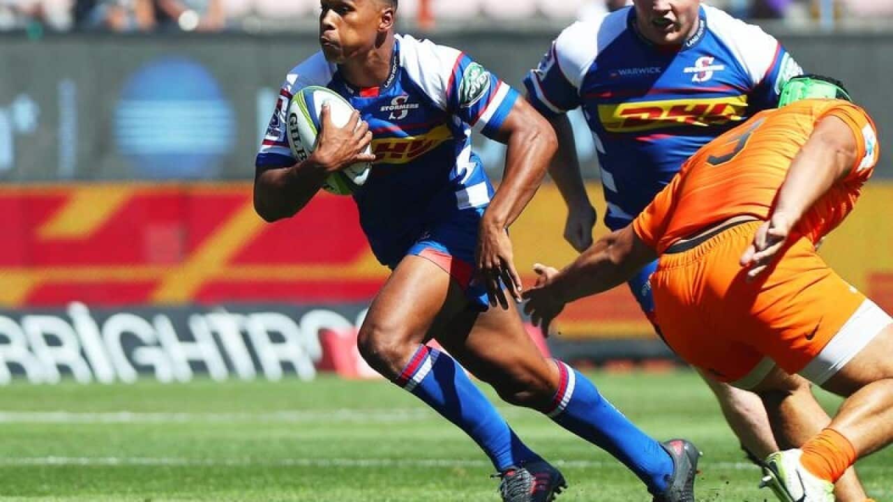 rugby Springboks