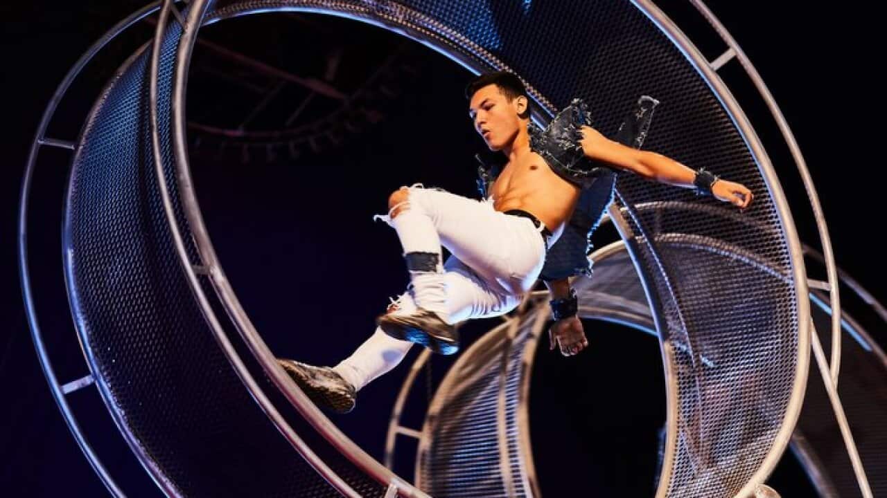 Zirk! Circus
