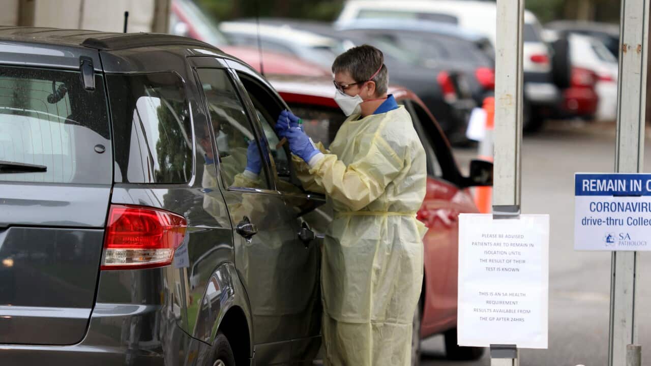 A nurse take a sample for testing at the new Covid-19 drive thru testing facility at Hampstead Rehabilitation Centre in Adelaide.