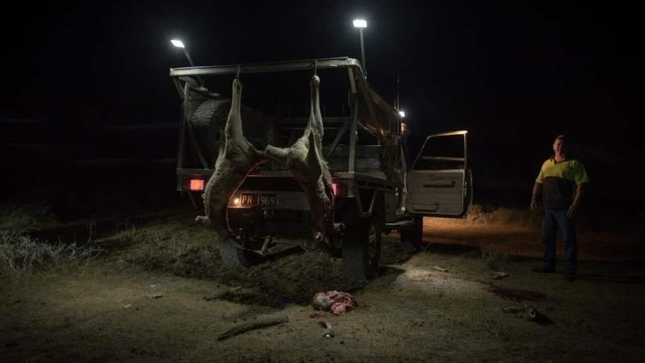 Image for read more article 'READ MORE'