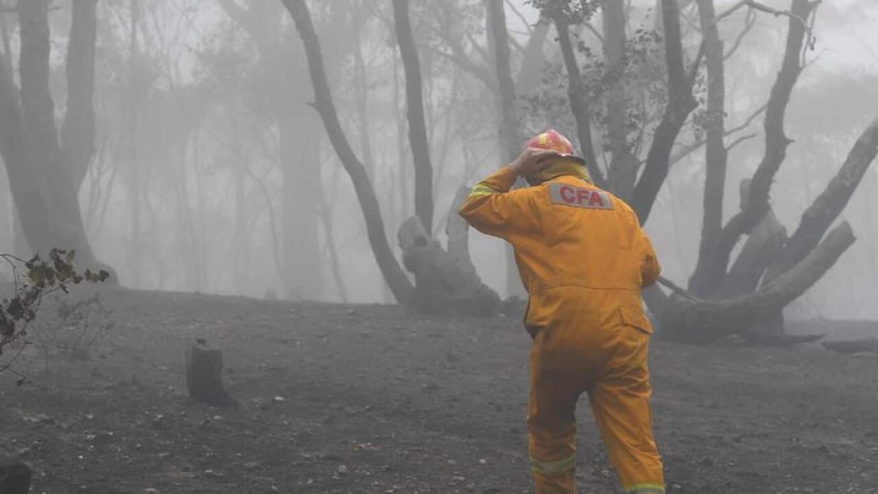 Bushfires Vic
