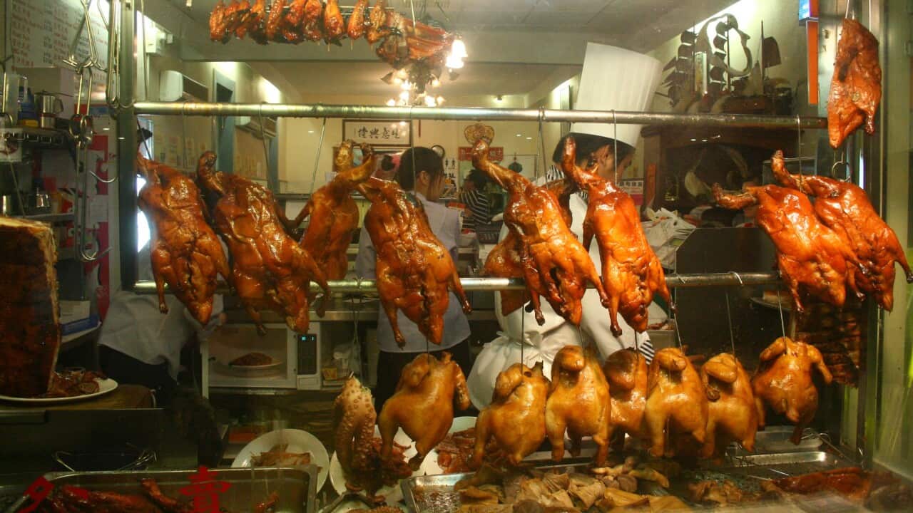 Image for read more article ''