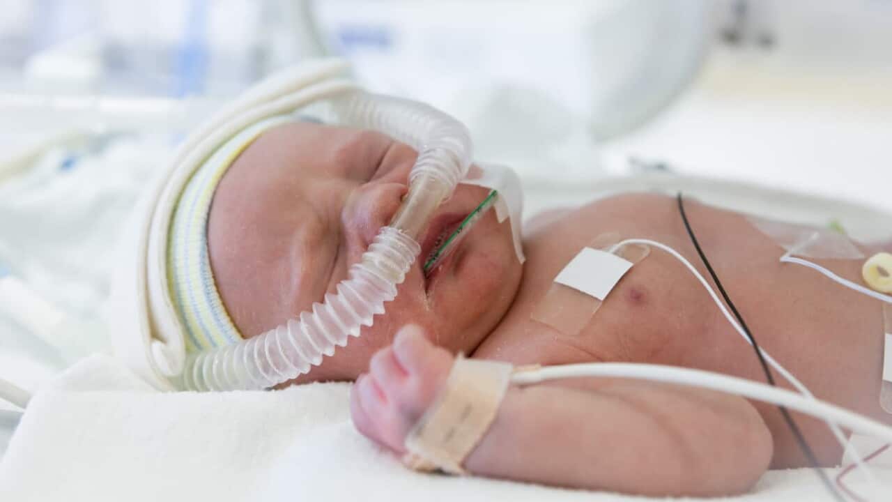 The parental leave gender-gap causes 86% of dads or partners to return to work while their baby remains in NICU or SC