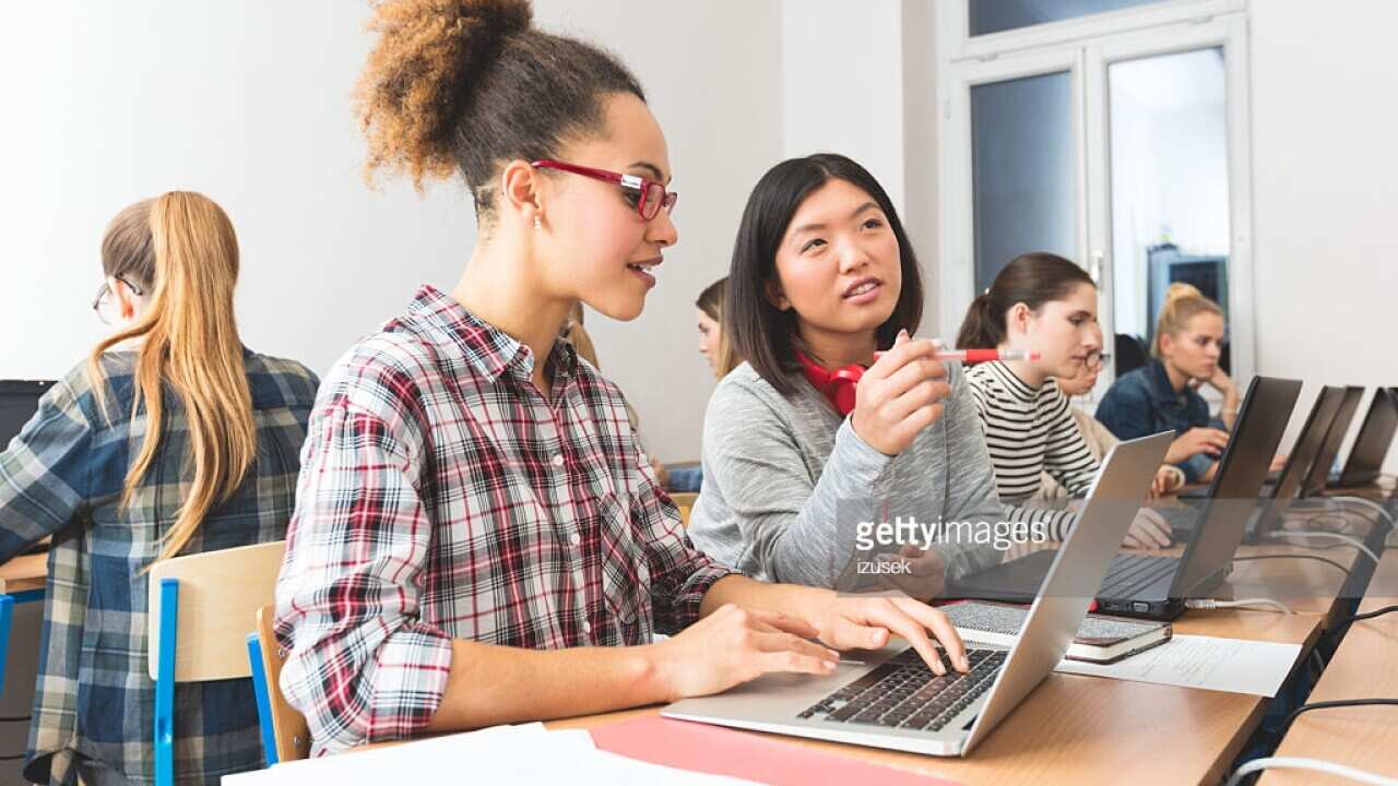 Students studying with computers