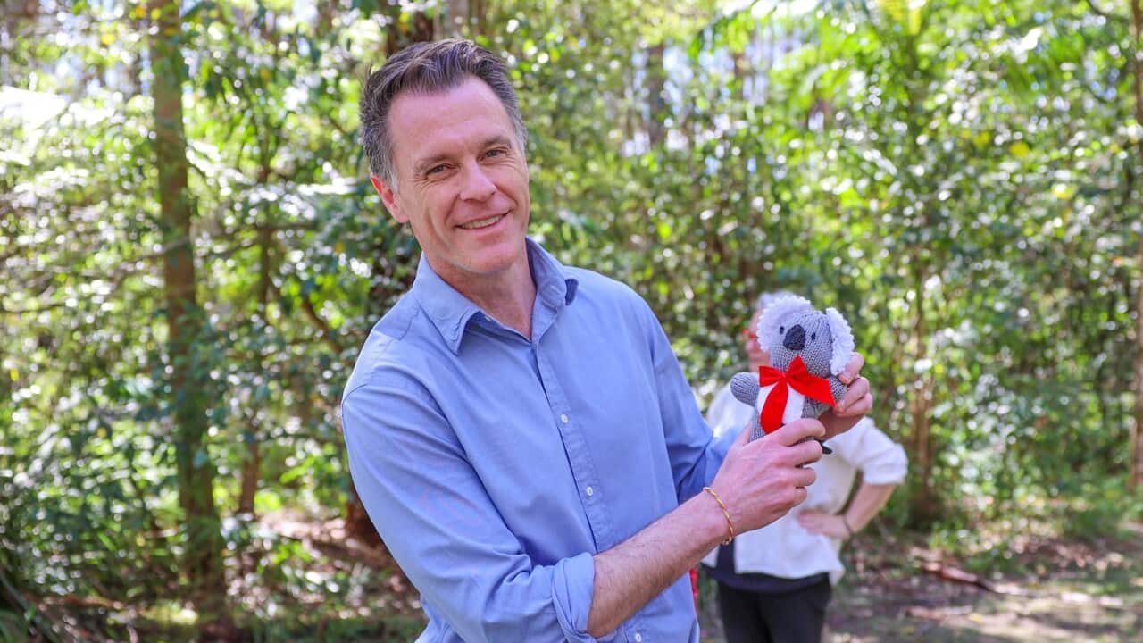 THE GREAT KOALA NATIONAL PARK