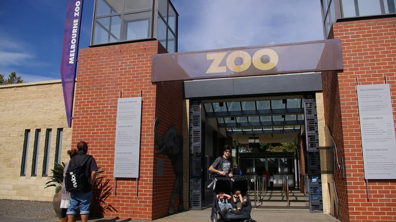 Melbourne zoo