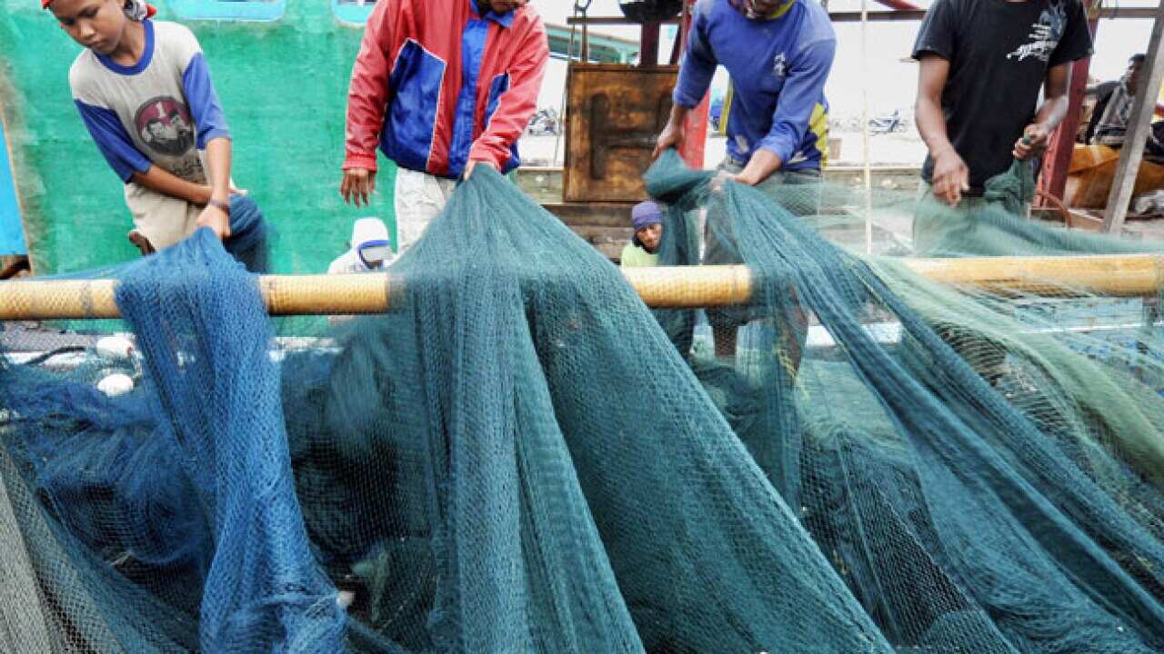 fisheries_121023_b_getty_100708617