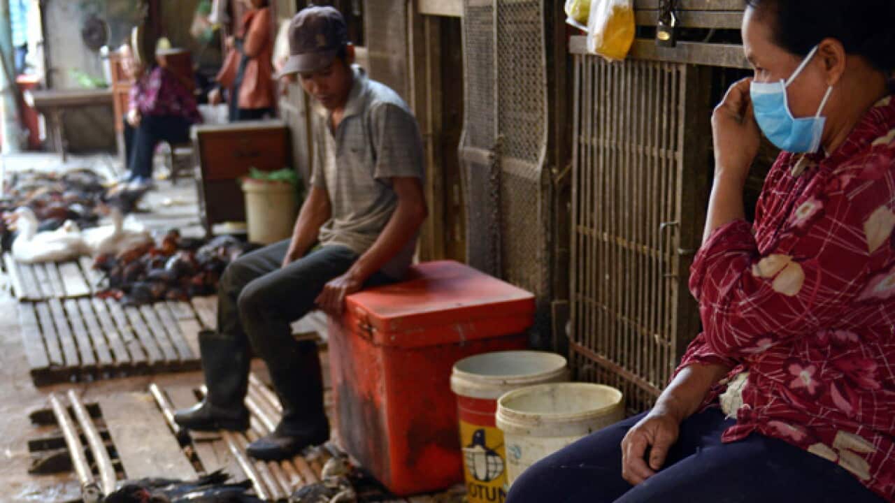 cambodia_bird_flu_130409_aap_l_914204182