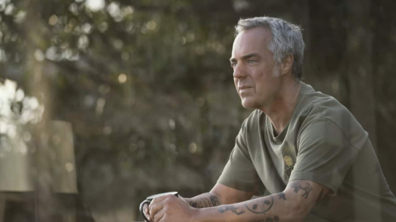 Titus Welliver as Detective Harry Bosch