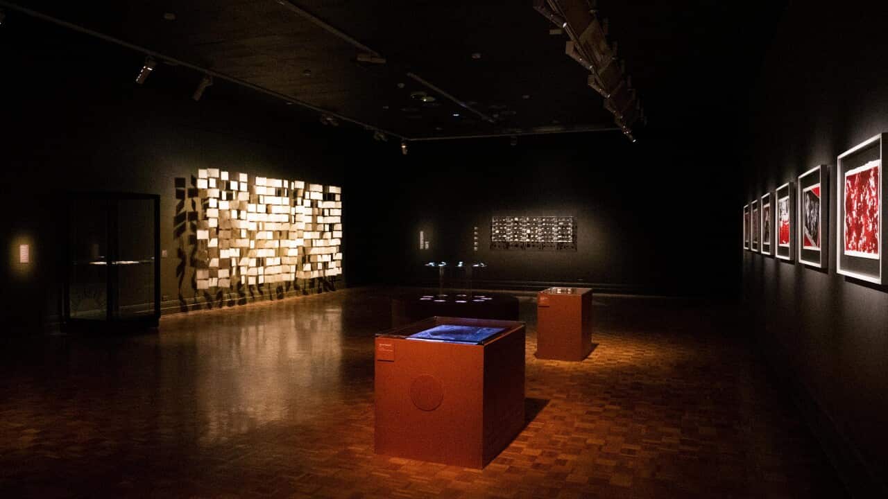 The Taypani exhibition (SBS).jpg