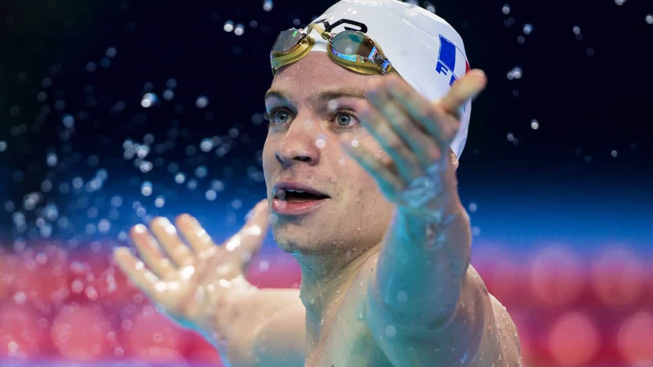 World Aquatics Championships 2025, day 20, Swimming Leon Marchand
