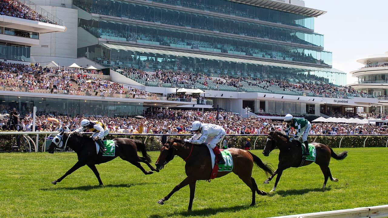 Image for read more article 'OTROS TEMAS'