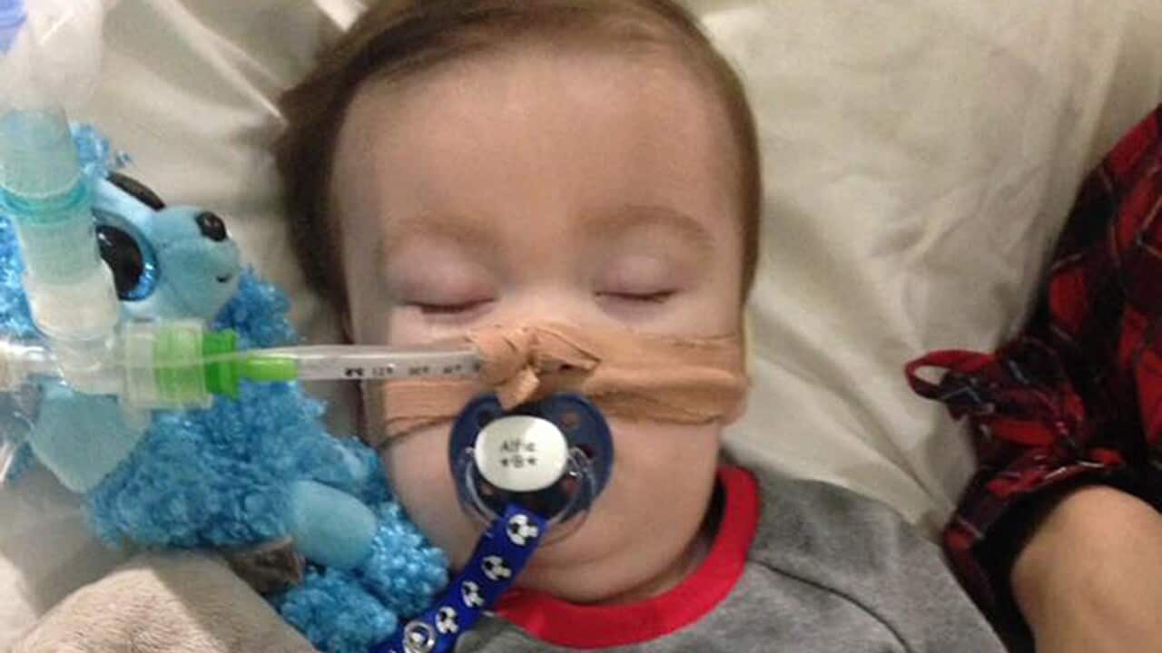 Brain-damaged boy Alfie Evans