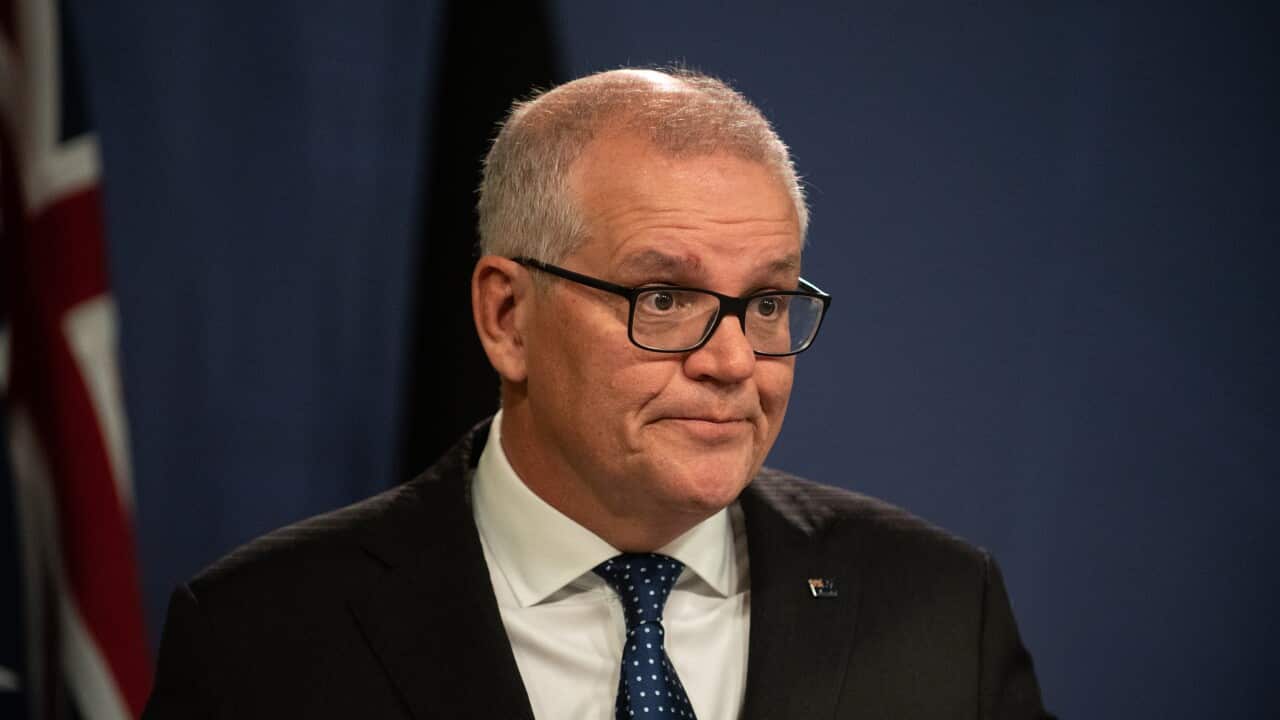 Scott Morrison face.