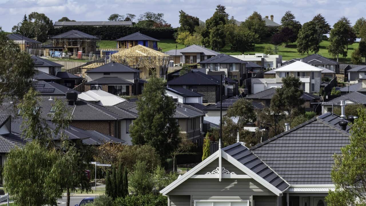 Image for read more article 'READ MORE'