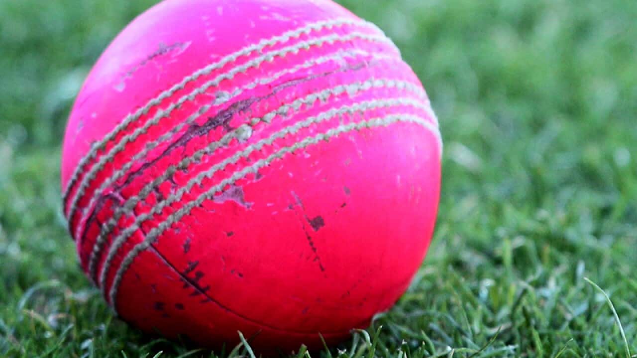 A pink ball during day two in Adelaide