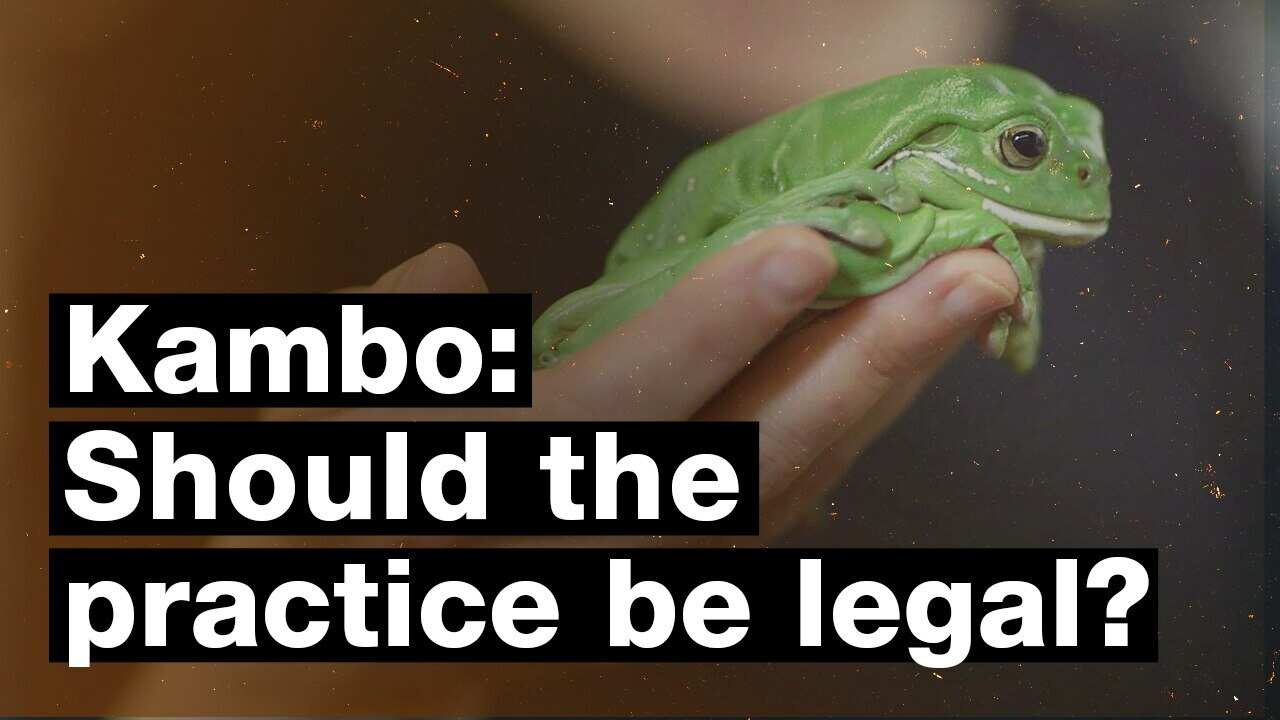 Kambo treatment