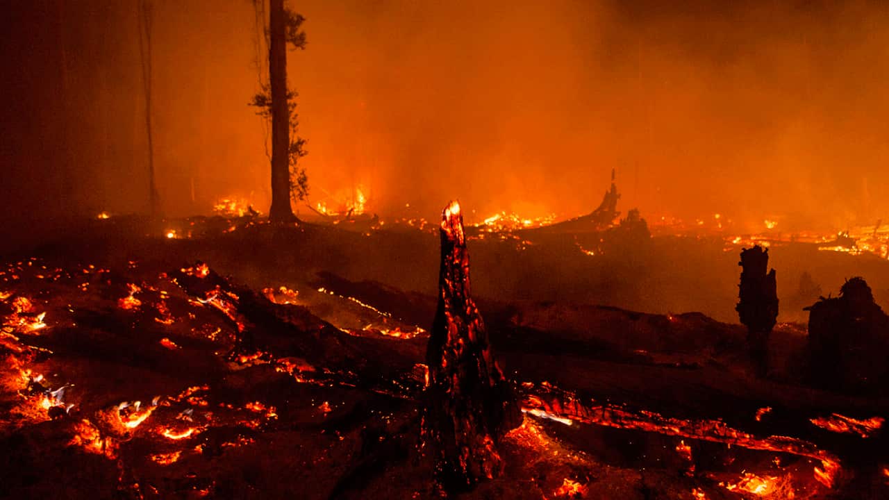 Indonesia burning
