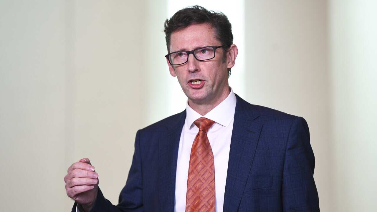 Labor's spokesperson on financial services, Stephen Jones, has called for tax evasion laws to be strengthened.