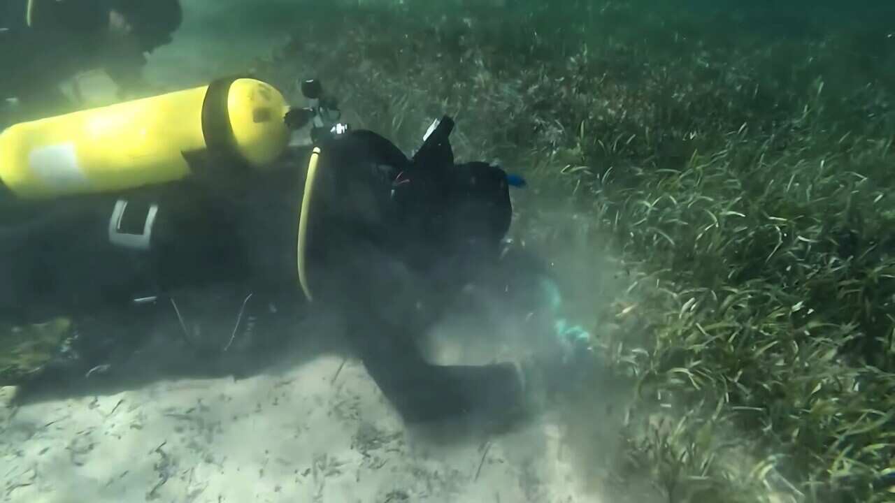 Hunting for sea cucumbers (SBS).jpg
