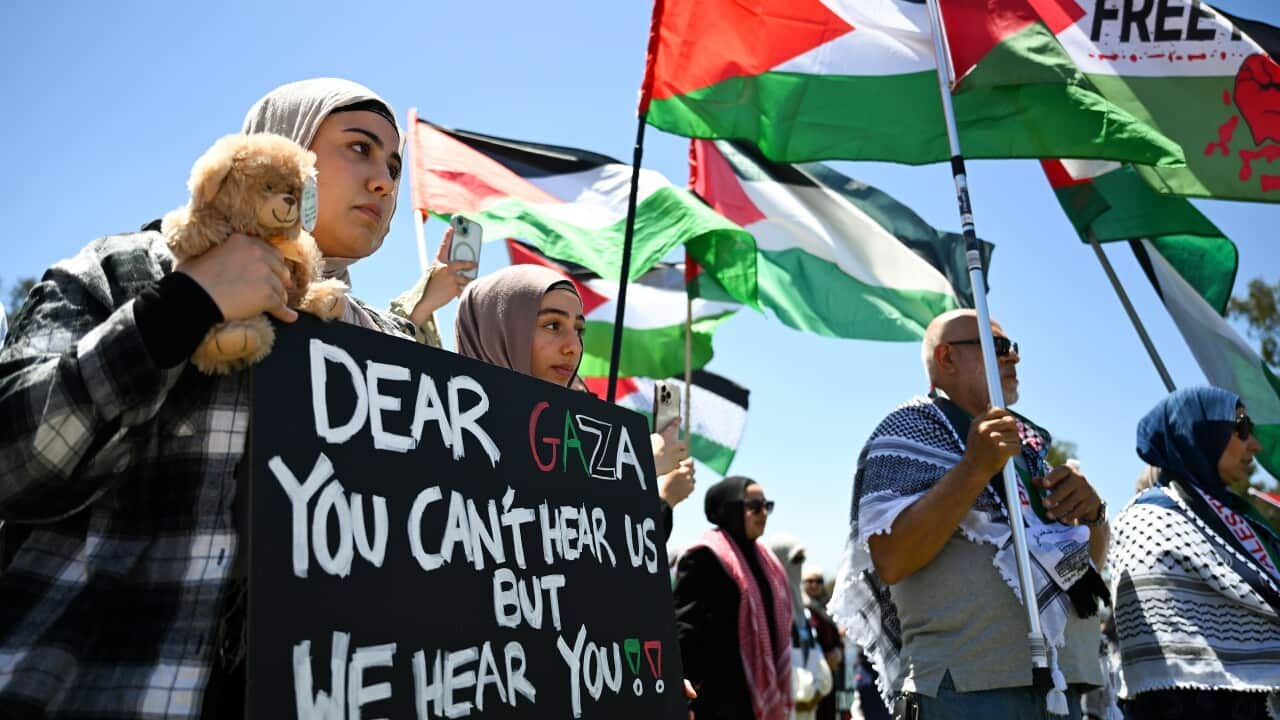 PALESTINE RALLY PARLIAMENT HOUSE